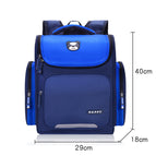 Royal Blue / L