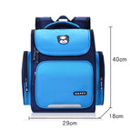 Blue / L