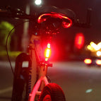 OPP bagged RED WHI light