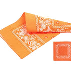 12pcs Neon Orange