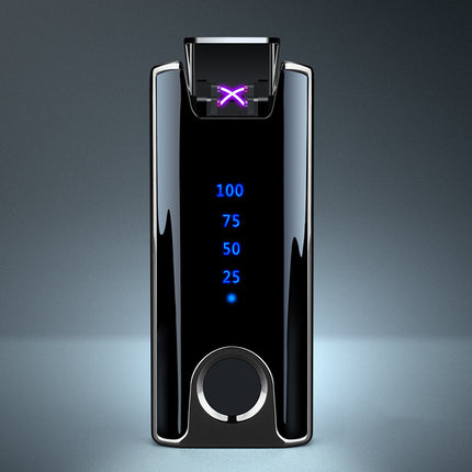 Personal Lighter with True Fingerprint Recognition