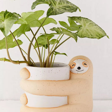 Cute, Creative And  Green Plant Potted Plants