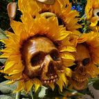 B / 1flower
