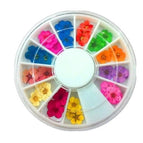 36 gedroogde blomme