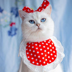 Red Polka Dot Set / Less Than Free Size