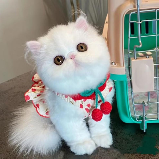 Dog Pet Clothes Summer Halter Skirt