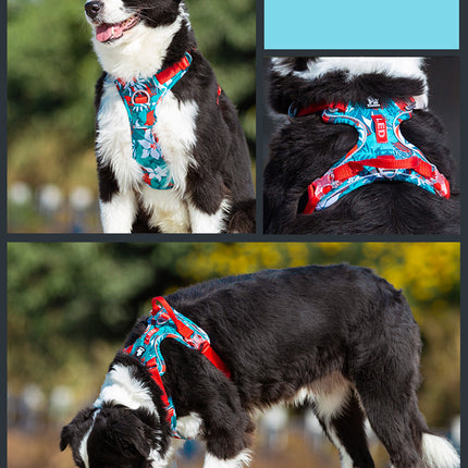 Dog leashes dog chain vest vest straps