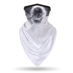 Puffy Dog / Average Size