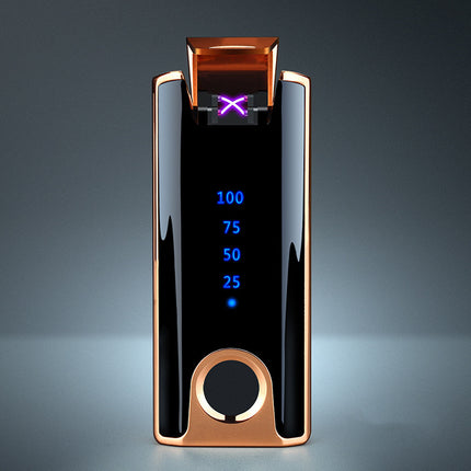 Personal Lighter with True Fingerprint Recognition