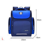 Royal Blue / L