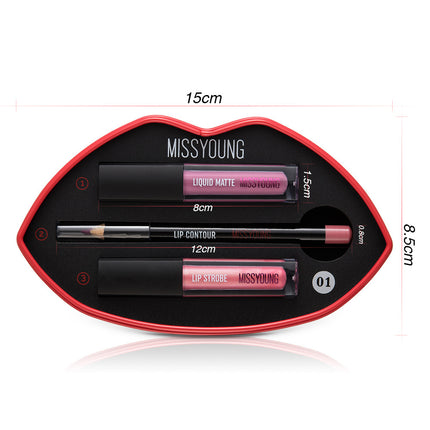 Vroue Se Matte Pêrel Lipglans Lipstiffie Pen Stel