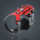 Red / L