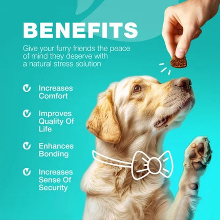 No Poo Chews For Dogs Coprophagia Deterrent For Dogs Forbid For Dogs Stool Eating Deterrent Dog Probiotics For Digestive Health Digestive Gut Immune Health Treats No Poop Eating For Dogs