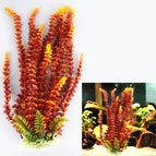Orange / 49cm