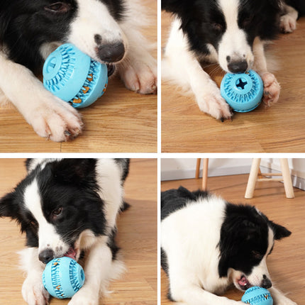 Pet molar ball