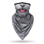 Gray Cute Cat / Average Size