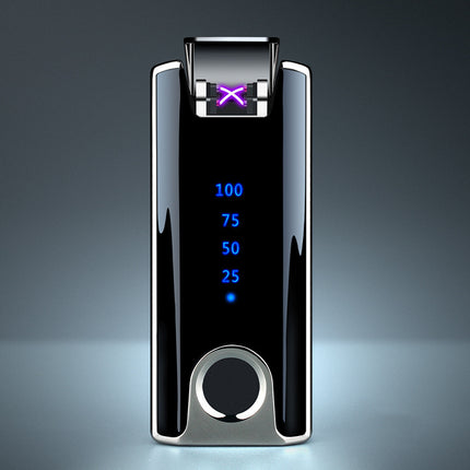 Personal Lighter with True Fingerprint Recognition