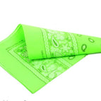 12pcs Neon Green