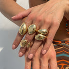 01 Light Gold 6113