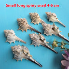 4to6cm