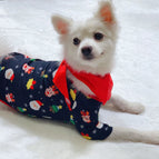 Picture color / Dog L