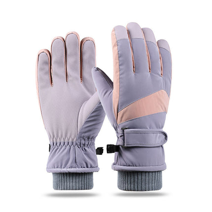 Couple Winter Fleece Thickened Warm And Windproof Gloves
