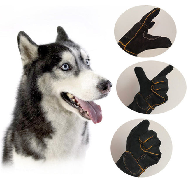 Lengthened And Thickened Pet Protective Gloves