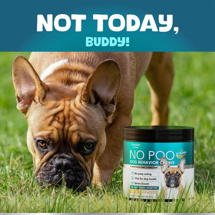 No Poo Chews For Dogs Stop Poop Eating Behavior Probiotics And Digestive Enzymes For Dogs Bad Breath Support For All Breeds Digestive And Gut Health Supplement 180 Soft Chews