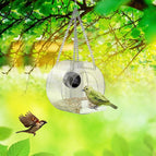 Transparent / Round