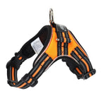 Orange / L