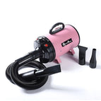 Pink / US