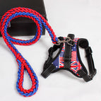 Red and blue / L