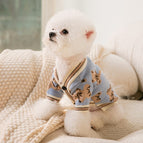 Blue Full Printed Bear / L
