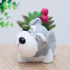 Dog5
