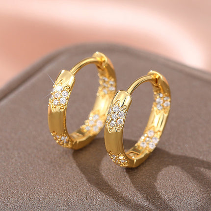 European, American And French Style Earrings For Women