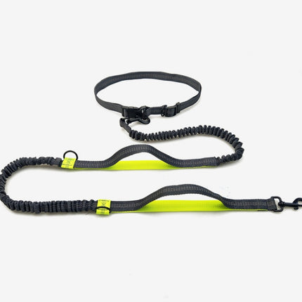 Amazon direct pet supplies multi-function running reflective pull dog leash double elastic dog leash traction