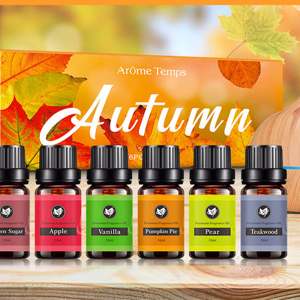 16 Theme Atmosphere Flameless Essential Oil Sets