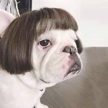 Wig Pretty Pet  Head