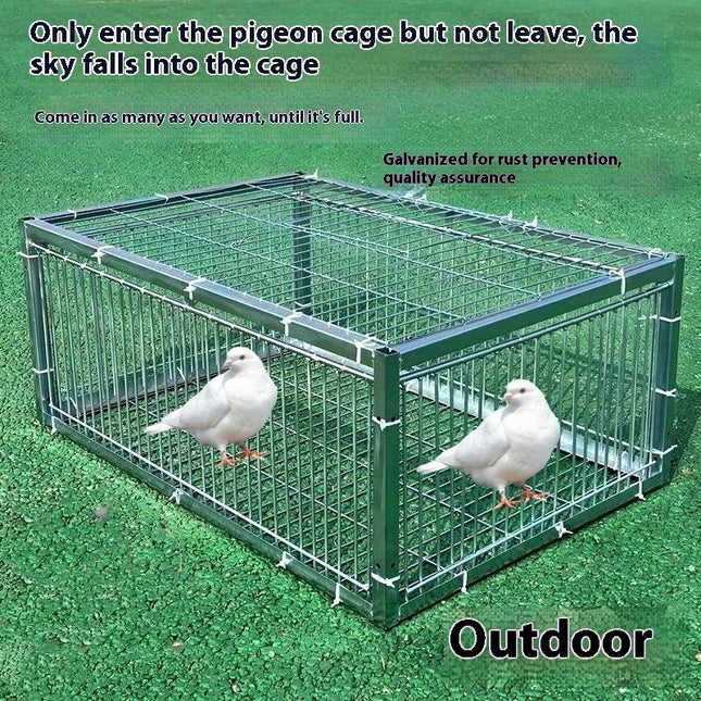 Outdoor Household Roof Only-in-no-out Pigoen Cage