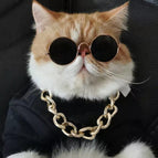 Gold chain / M