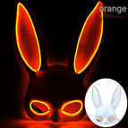 Orange White Bunny