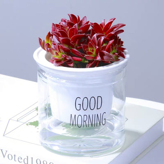 Double Tier Hydroponic Epipremnum Aureum Self-watering Flowerpot Home Decor Double Tier Visual Water Level Flowerpot