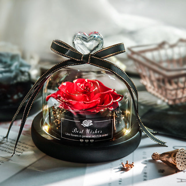 Valentynsdag Kersfees Gedroogde Blomme Vir Huisdekor Trougeskenke Gedroogde Blomme Ewige Regte Roos Huisdekor Met LED In Glas
