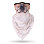 Yellow Pug / Average Size