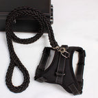 Black / L