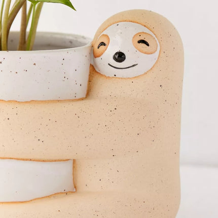 Cute, Creative And  Green Plant Potted Plants