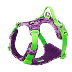 Purple / S