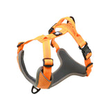 Orange / L