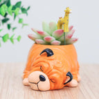 Dog6