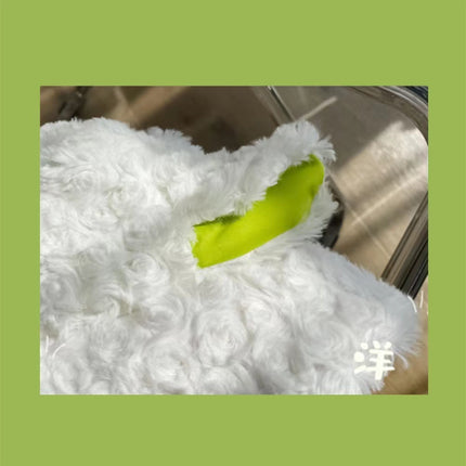 Plush Knitted Warm Ear Protection Woolen Hat